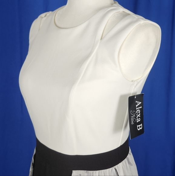 NWT, Jumpsuit, Alexa B 'Nites' collection, Size 4 - Picture 6 of 9